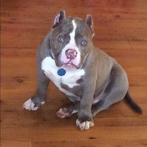 Meet your Posher, Sean